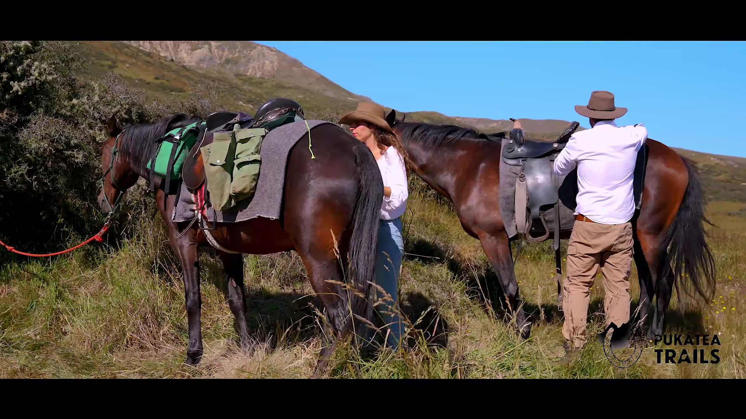 Pukatea Horse Trails & Adventures